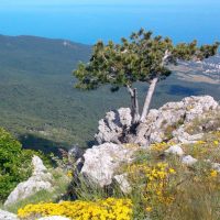 Вид с Крымских гор